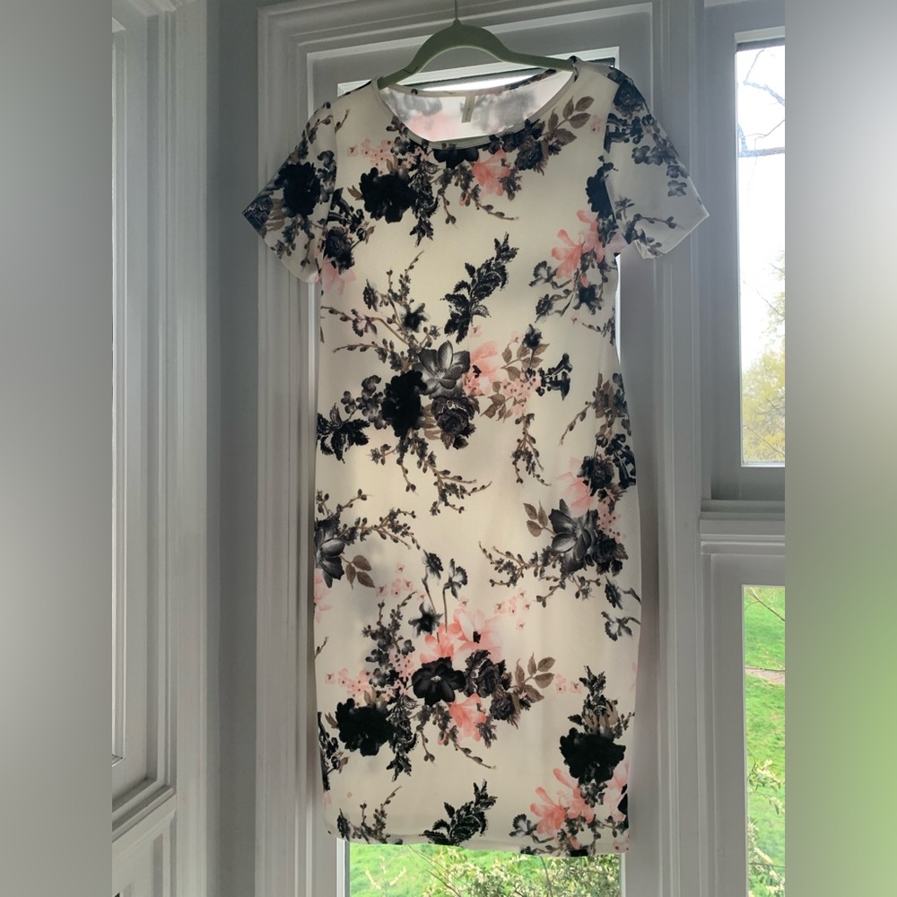 Pinkblush fitted maternity dress